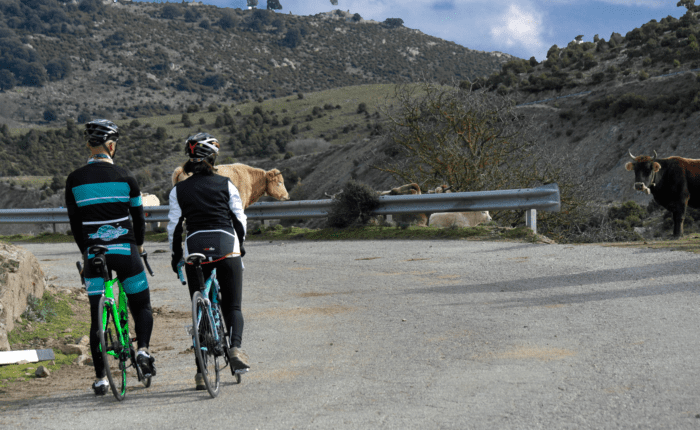 Cycling in the blue zone of Sardinia, Gennargentu