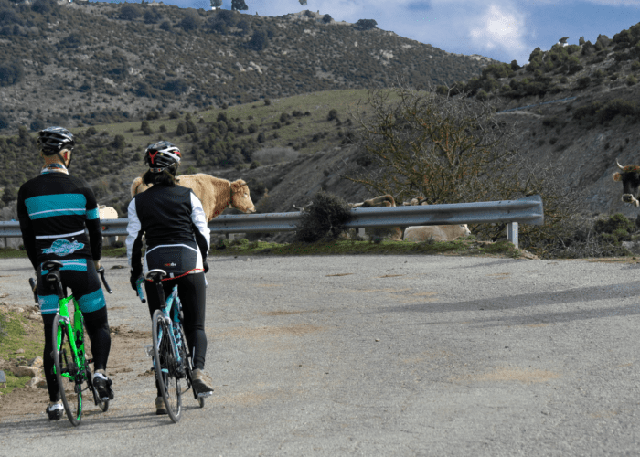Cycling in the blue zone of Sardinia, Gennargentu