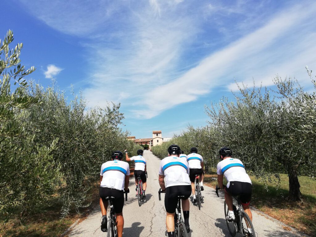Cyclist during a classic bike tour i Tuscany