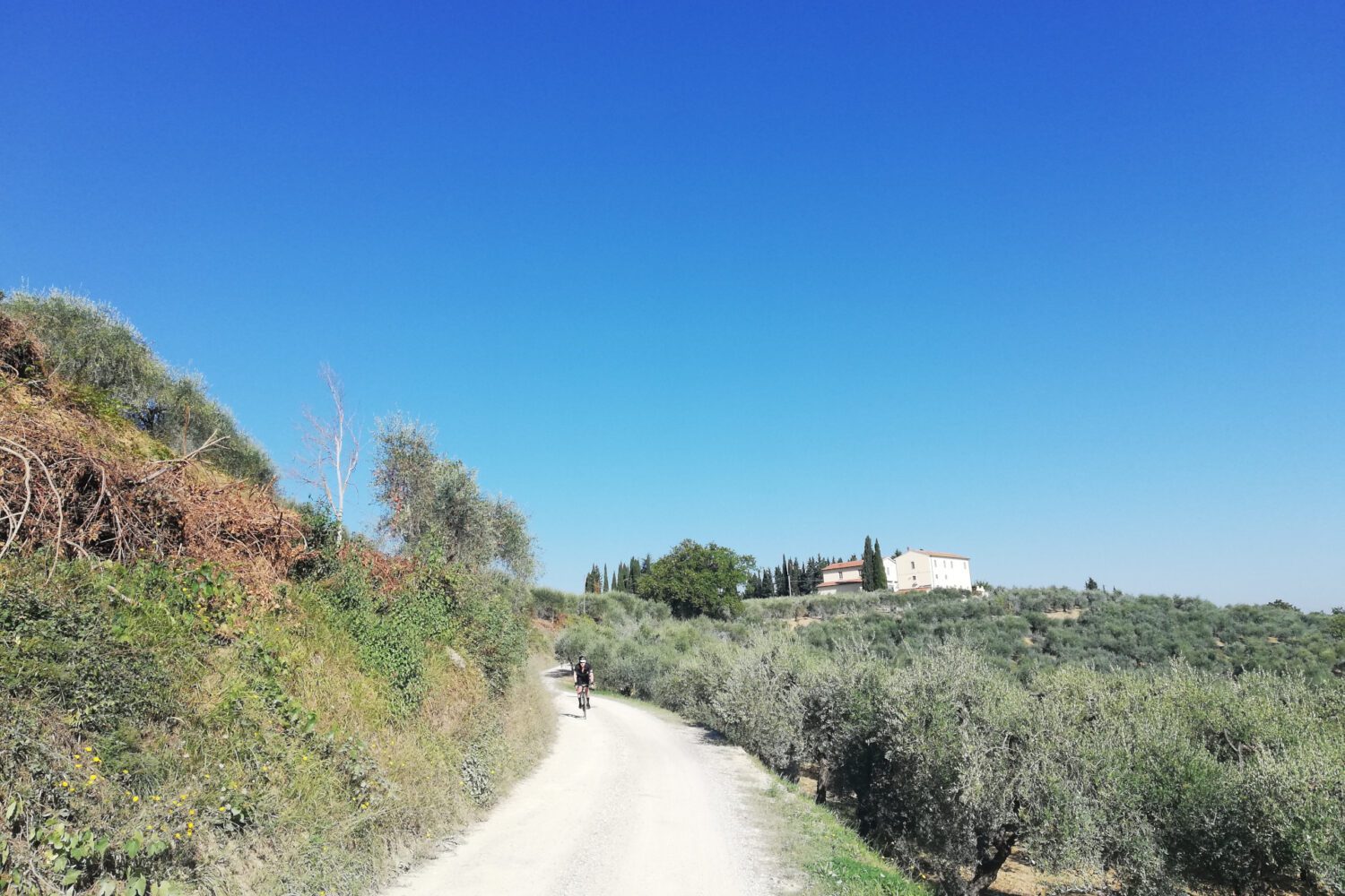 Cycling in strade bianche Best Tuscany bike tour