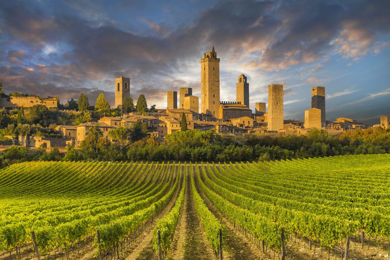 A view of San Gimignano, first and last location of Best Tuscany bike tour