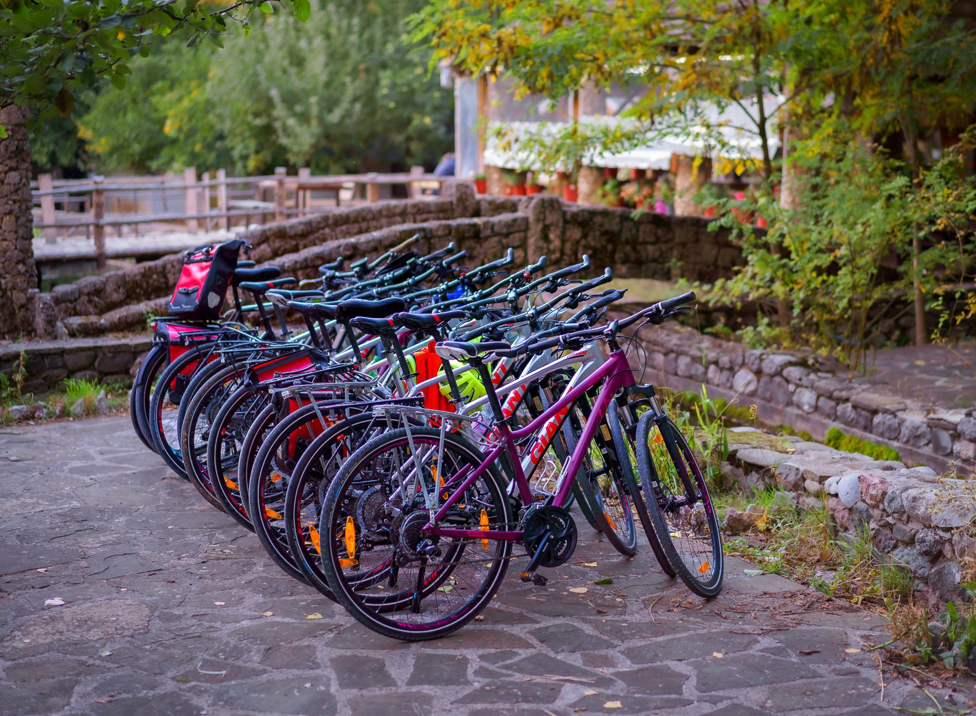 Hybrid bikes during a tour in Albania