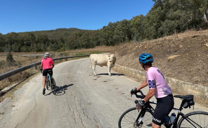 Cycling in Sicilian countryside