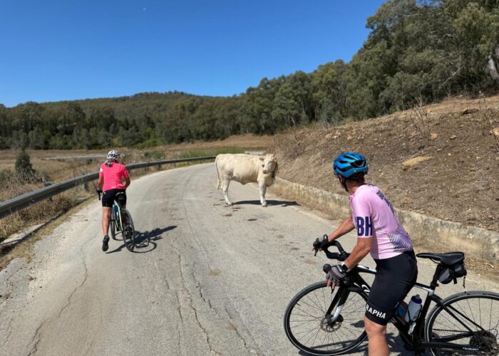 Cycling in Sicilian countryside