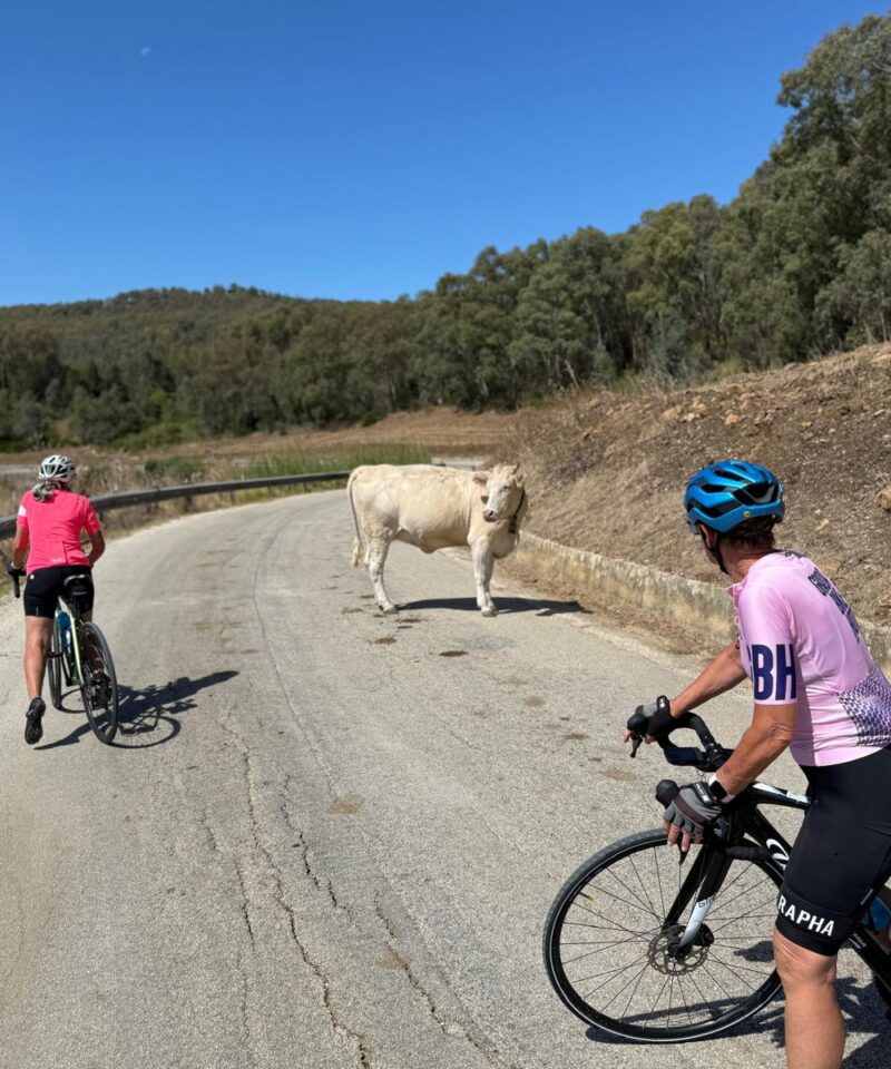 Cycling in Sicilian countryside