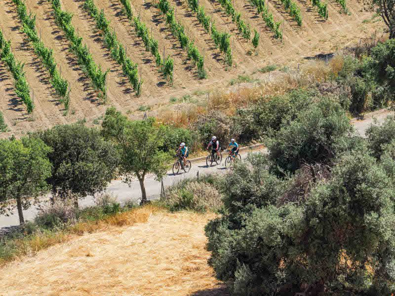 Riding by bike in Sardinia countryside
