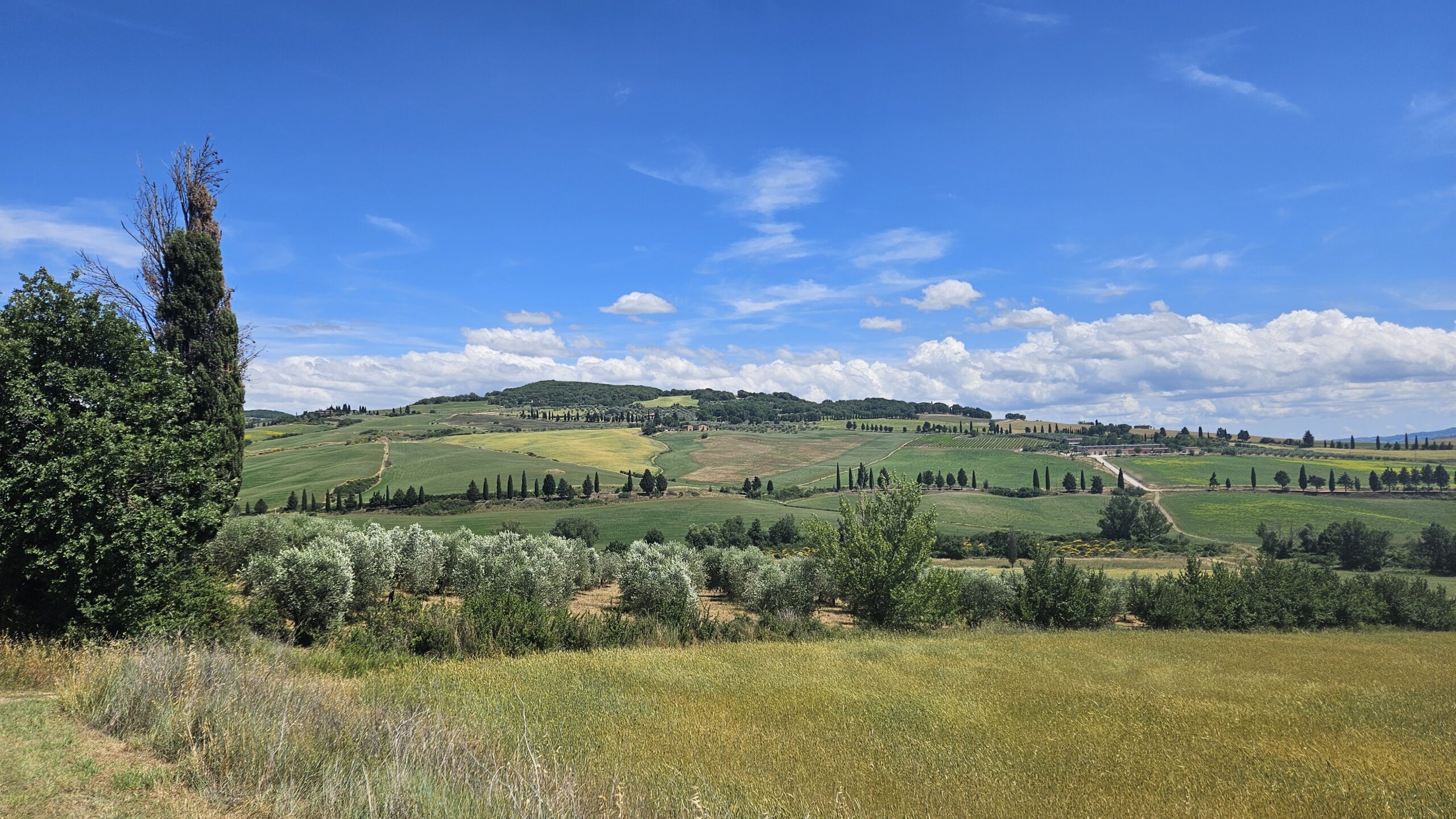 Toscana 2026 Panorama with "cipressi" in Tuscany